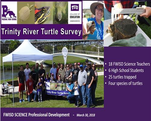 Turtle Survey March 30, 2018 